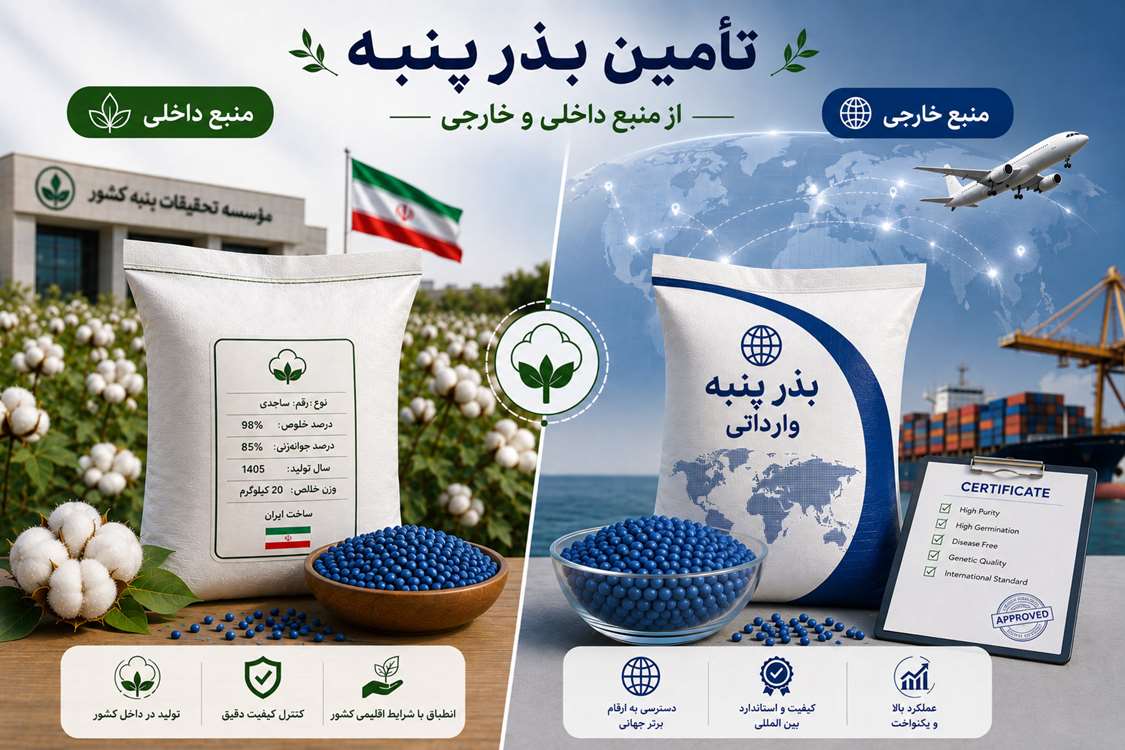 برنامه‌ریزی برای تأمین بذر گواهی‌شده پنبه/ بهره‌وری تولید پنبه ارتقا می‌یابد